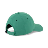 Puma pet metal kat volwassenen vine